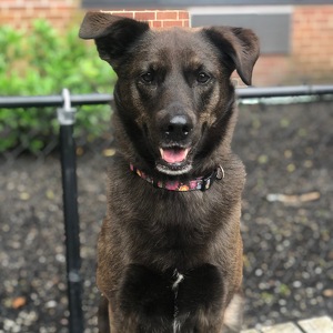 Fundraising Page: Libby PAC Alum